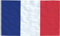 VidaXL Vlag Frankrijk 90x150 Cm