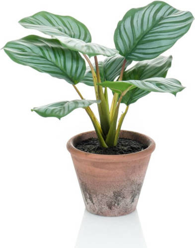 Emerald Kunstplant In Pot Terra Calathea Orbifolia 32 Cm