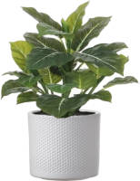 Mica Decorations Groene Philodendron Kunstplant 49 Cm In Bloempot Wit Dia 15 Cm - Kunstplanten