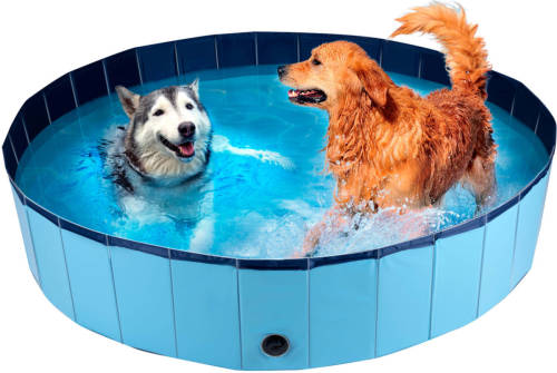 Maxxpro Hondenzwembad - 160 X 30 Cm - Grote Hondenrassen - Opvouwbaar - Anti-slip Bodem - Blauw