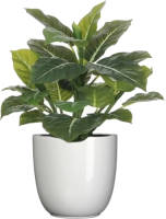 Mica Decorations Groene Philodendron Kunstplant 49 Cm In Bloempot Wit Dia 14.5 Cm - Kunstplanten