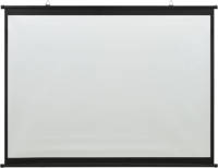 VidaXL Projectiescherm 1:1 50''