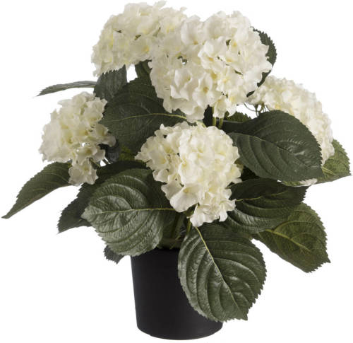 Shoppartners Witte Hortensia Hydrangea Kunstplant In Zwarte Kunststof Pot 44 Cm - Kunstplanten