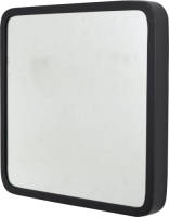 Loft42 Mirror Spiegel Vierkant Zwart - Industrieel - Metaal - 42x42