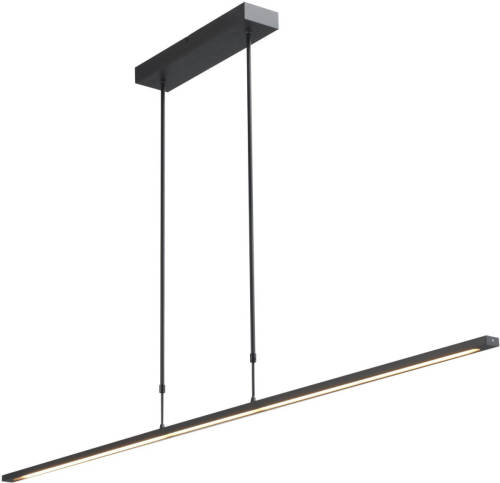 Lamponline Masterlight Hanglamp Real 2 Led 160 Cm Zwart Nikkel