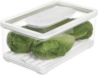 iDesign - Vershoudbak, Groot, Kunststof, 31.7 X 19 X 14 Cm - iDesign Id Fresh