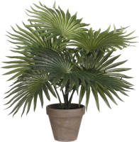 Mica Decorations Palm Kunstplant - Groen - H40 X D35 Cm - Kunstplanten