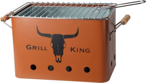 ProGarden Barbecuegrill Rechthoekig Mat Oranje