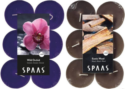 Candles by Spaas Geurkaarsen - 24x Stuks In 2 Geuren Wilde Orchidee En Exotic Wood - Geurkaarsen