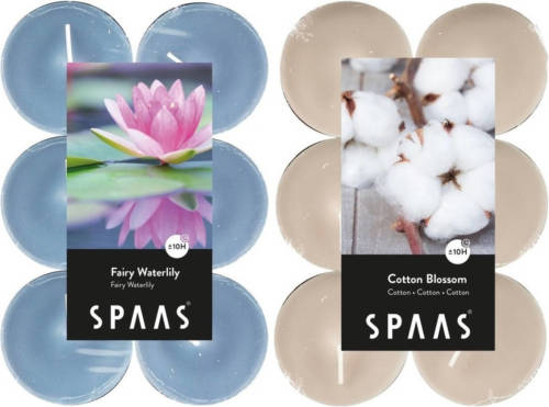 Candles by Spaas Geurkaarsen - 24x Stuks In 2 Geuren Blossom Flowers En Waterlilly - Geurkaarsen