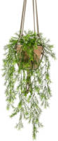 PrettyPlants Asparagus Sprengeri Kunst Hangplant In Stenen Pot 75cm
