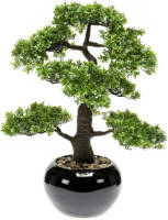 PrettyPlants Bonsai Kunstplant 47cm