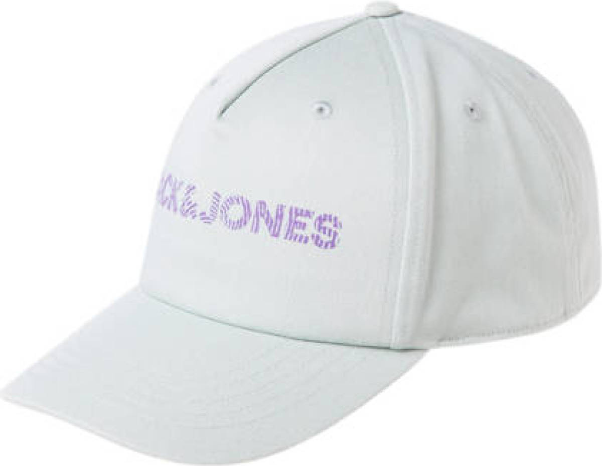 Jack & Jones pet JACADRIAN met logo lichtgrijs