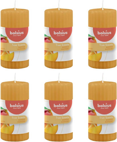 Bolsius Geurstompkaarsen Geribbeld Mango 6 St True Scents 120x58 Mm