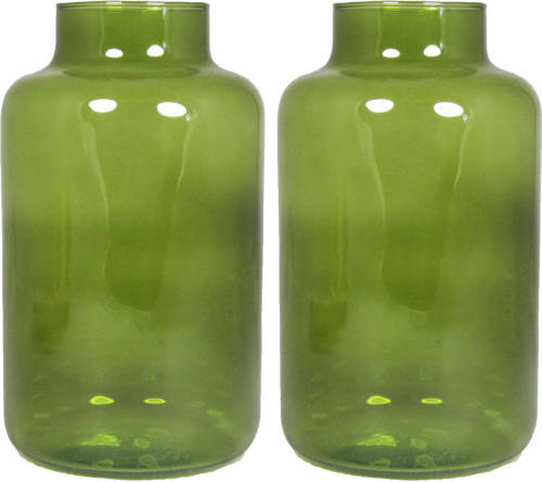 Floran Set Van 2x Bloemenvazen - Groen/transparant Glas - H25 X D15 Cm - Vazen