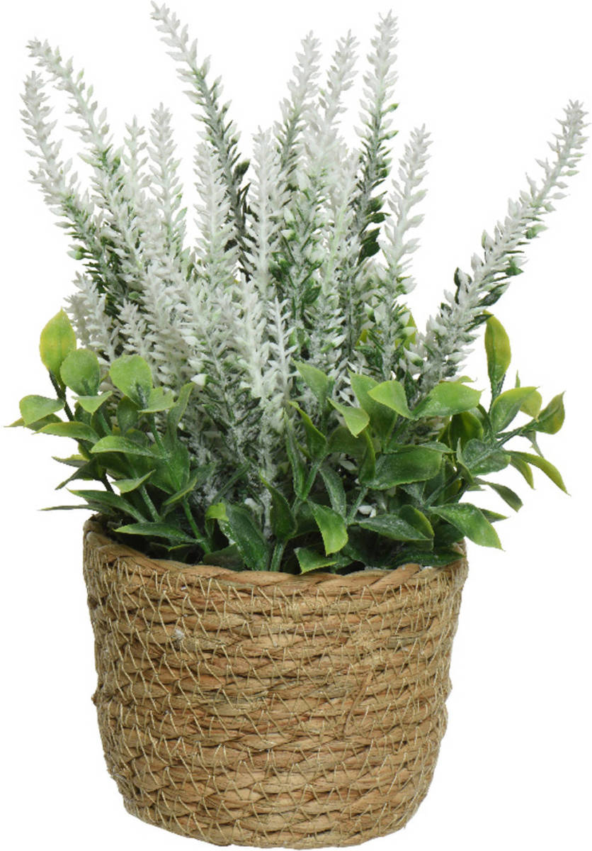 Everlands Lavendel Kunstplant In Gevlochten Plantenmand - Wit - D12 X H26 Cm - Kunstplanten