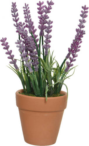 Everlands Lavendel Kunstplant In Terracotta Pot - Paars - D6 X H18 Cm - Kunstplanten