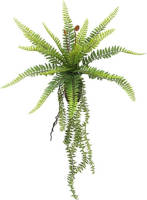 Buitengewoon de Boet Hangvaren 66 Cm Kunstplant