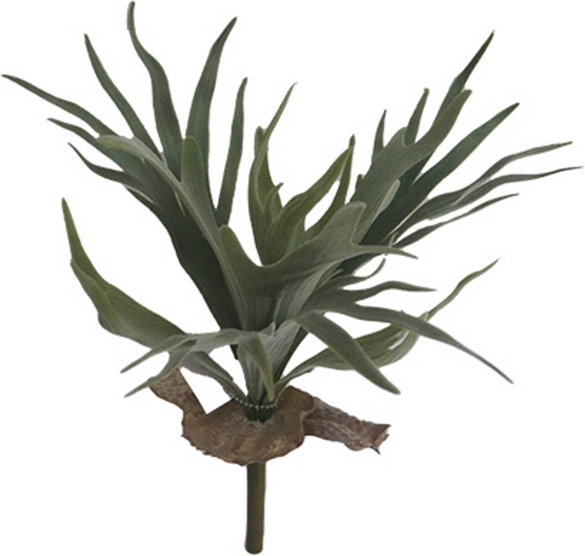 Buitengewoon de Boet Hertshoorn 33 Cm Kunstplant