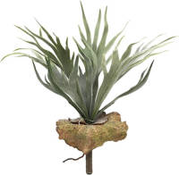 Buitengewoon de Boet Hertshoorn Met Blad 33 Cm Kunstplant
