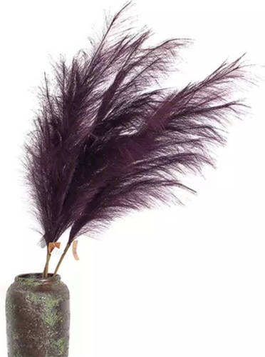 Buitengewoon de Boet Pampas Gras 60 Cm Mauve Kunstplant