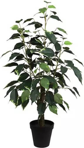 Buitengewoon de Boet Ficus Bonsai Donkergroen 60 Cm Kunstplant