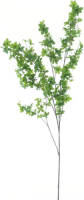 Nova Nature Mini Maple Leaf Branch Green 170 Cm Kunstbloemen