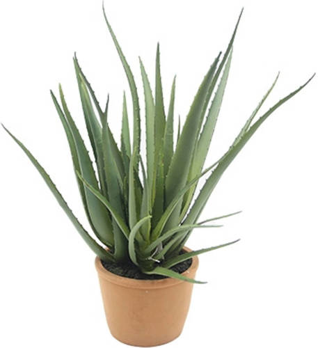 Buitengewoon de Boet Aloe Vera 47 Cm Kunstplant