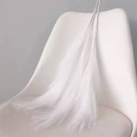 Buitengewoon de Boet Pampas Gras 60 Cm Wit Kunstplant