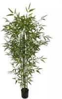 Buitengewoon de Boet Bamboe Groen 180 Cm Kunstplant