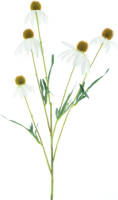Nova Nature Rudbeckia Spray Cream 90 Cm Kunstbloemen