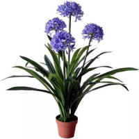 Buitengewoon de Boet Agapanthus Kunstplant