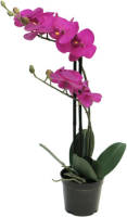 Nova Nature Rt Phalaenopsis Bora X2 In Pot 50 Cm Fuchsia Kunstbloemen