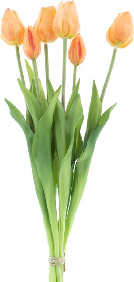 Nova Nature Pso Classic Tulip Bundle Sally X7 Peach 47 Cm Kunstbloemen