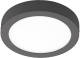 Eglo Led-buitenwand-/plafondlamp Argolis-c 16,5 W Rond Zwart