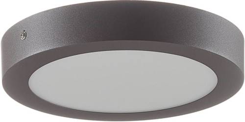 Eglo Led-buitenwand-/plafondlamp Argolis-c 16,5 W Rond Zwart