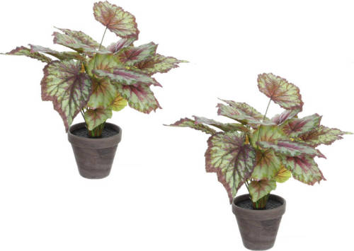 Mica Decorations 2x Stuks Begonia Kunstplanten Rood In Grijze Sierpot H40 Cm X D38 Cm - Kunstplanten