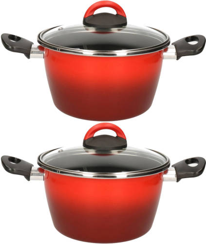 Magefesa Set Van 2x Stuks Rvs Rode Kookpan/pan Met Glazen Deksel 20 Cm 6 Liter - Kookpannen