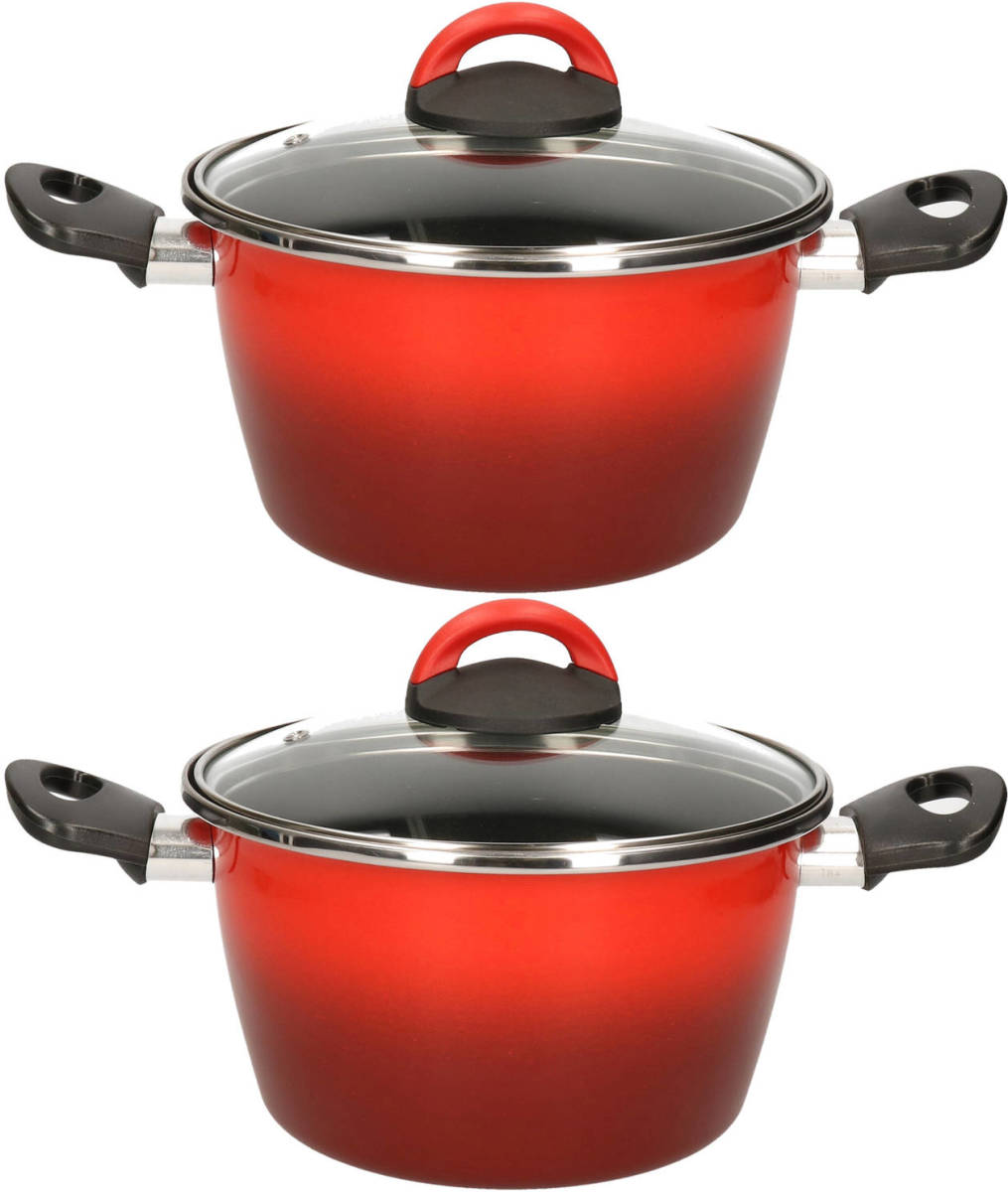 Magefesa Set Van 2x Stuks Rvs Rode Kookpan/pan Met Glazen Deksel 20 Cm 6 Liter - Kookpannen