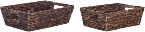 Beliani Pandz - Mand-bruin-waterhyacinth
