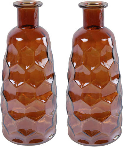 Countryfield Art Deco Bloemenvaas - 2x - Cognac Bruin Transparant - Glas - D12 X H30 Cm - Vazen