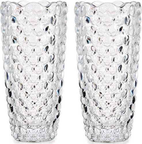 Giftdeco Set Van 2x Stuks Bloemenvazen Bubbels Relief 8 X 19,5 Cm Van Glas - Vazen