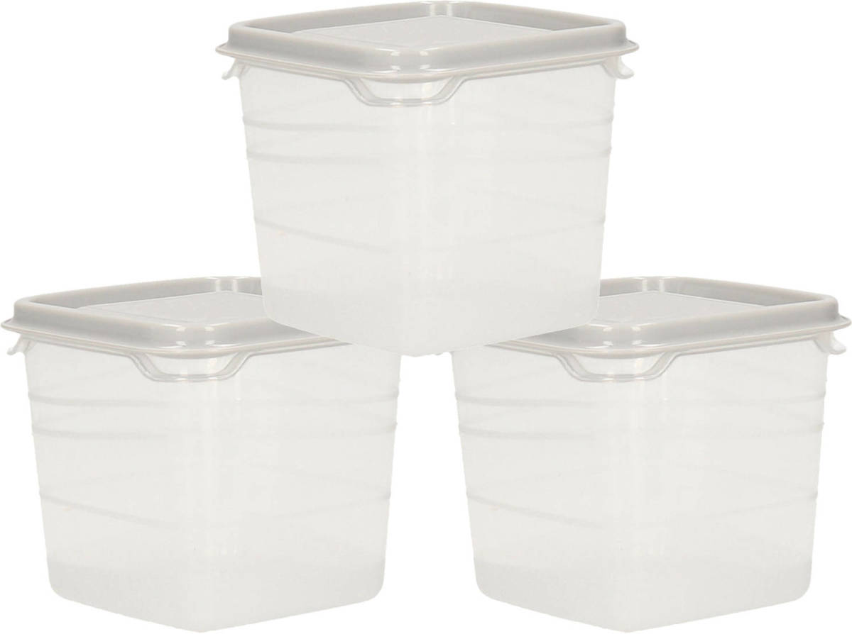Hega Hogar Voorraad/vershoudbakjes - 3x -transparant/grijs - kunststof - 0,3 liter - 11 x 9 cm - Vershoudbakjes