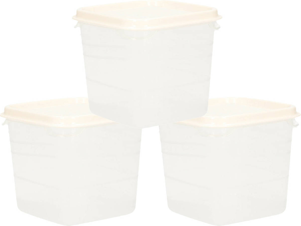 Hega Hogar Voorraad/vershoudbakjes - 3x -transparant/wit - kunststof - 0,3 liter - 11 x 9 cm - Vershoudbakjes