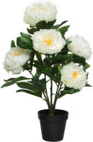 Everlands Kunst pioenroos in pot - H57 cm - wit - kunst struik - Kunstplanten