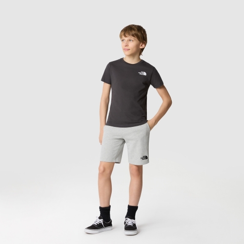 The North Face sweatshort grijs/zwart