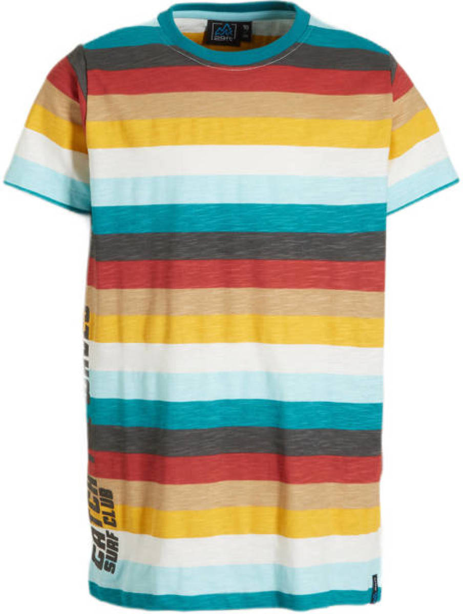 29FT gestreepte T-shirt multi