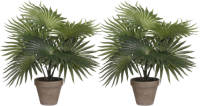 Mica Decorations Palm kunstplant - set van 2x - groen - H40 x D35 cm - Kunstplanten