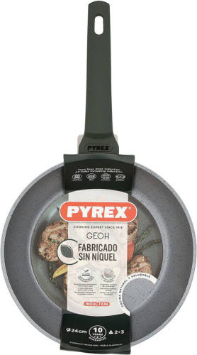 Antiaanbakpan Pyrex Geoh Gehard aluminium 24 cm