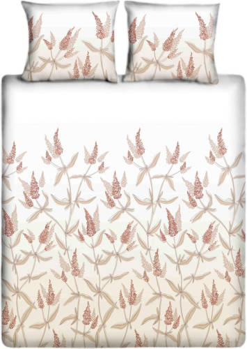 Ten Cate Katoenen Dekbedovertrek - 140x200/220 cm - Budlea